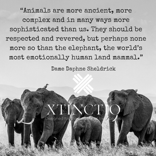 Dame Daphne Sheldrick on the sophistication of Elephants