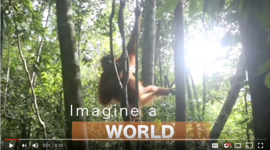 Imagine A World