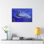 HUMPBACK WHALE  Canvas Stretched, 1.5''