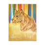 TIGER Canvas Stretched, 1.5''