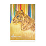 TIGER Canvas Stretched, 1.5''
