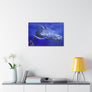 HUMPBACK WHALE  Canvas Stretched, 1.5''