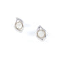 Xtinctio - Earirings -Sterling silver Leaf Earrings and Moonstone representing your commitment to protecting these critically endangered environment and their habitats. Xtinctio - For The Survival Of The Species