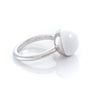 Made in Italy by a 3rd generation Goldsmith. Eco conscious white Bronze and glass enamel. 50% of all profits go towards protecting the most endangered species on the planet earth. Each ring is engraved with the endangered animal or habitat it represents. Collect them in all 8 colors!