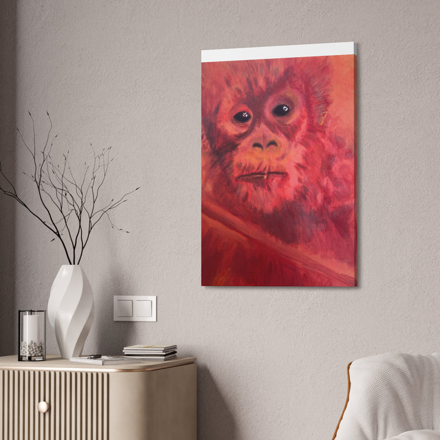 BABY ORANGUTAN Canvas Stretched, 1.5''