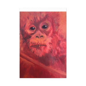 BABY ORANGUTAN Canvas Stretched, 1.5''