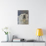 Polar Bear - Printed Canvas Artwork