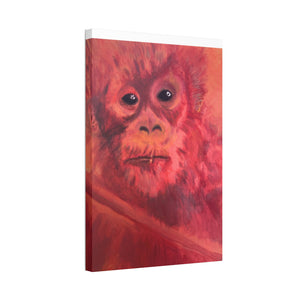 BABY ORANGUTAN Canvas Stretched, 1.5''