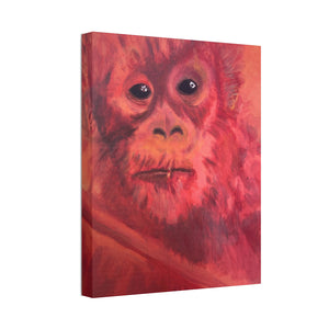 BABY ORANGUTAN Canvas Stretched, 1.5''