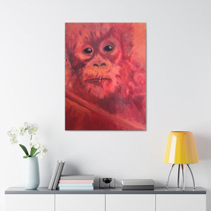 BABY ORANGUTAN Canvas Stretched, 1.5''