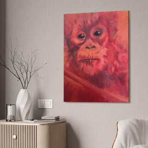 BABY ORANGUTAN Canvas Stretched, 1.5''