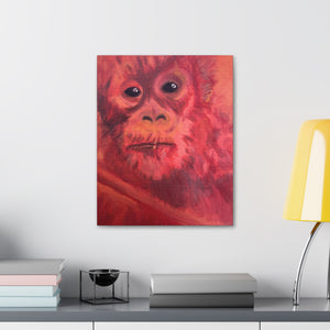 BABY ORANGUTAN Canvas Stretched, 1.5''