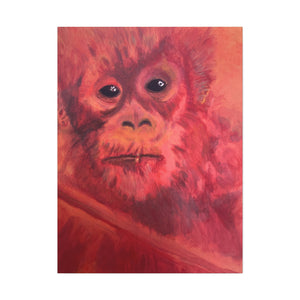 BABY ORANGUTAN Canvas Stretched, 1.5''