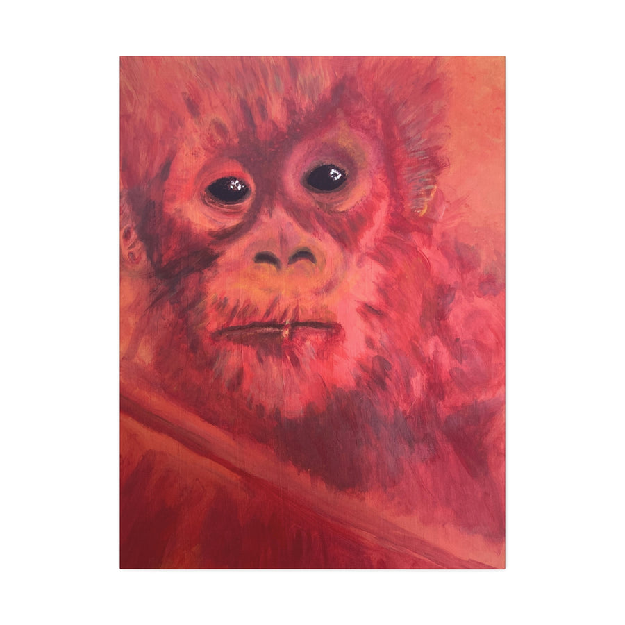 BABY ORANGUTAN Canvas Stretched, 1.5''