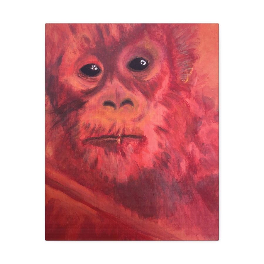 BABY ORANGUTAN Canvas Stretched, 1.5''