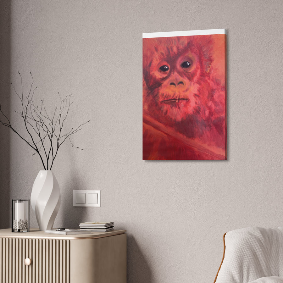 BABY ORANGUTAN Canvas Stretched, 1.5''