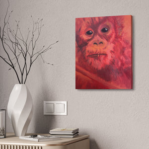 BABY ORANGUTAN Canvas Stretched, 1.5''