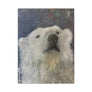 Polar Bear - Printed Canvas Artwork