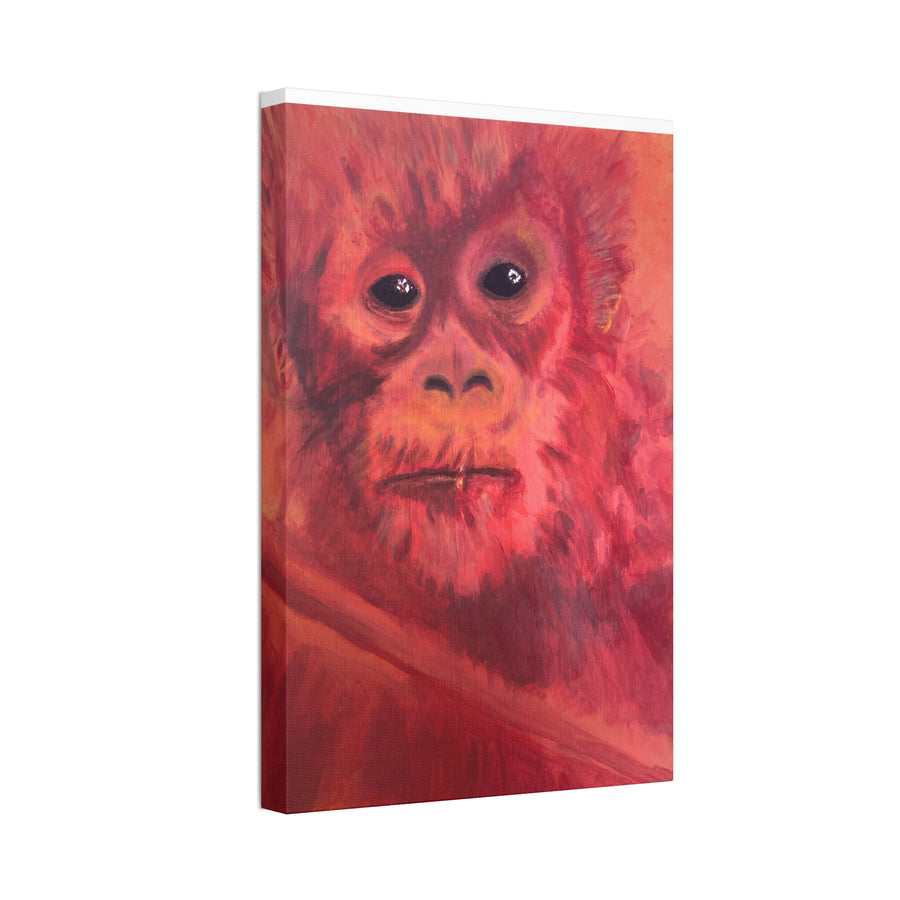 BABY ORANGUTAN Canvas Stretched, 1.5''