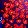 Somerset’s Poppy Fields - Handmade Acrylic Original Painting