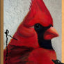 Cardinal Bird - Handmade Acrylic Original Painting