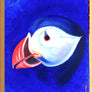 Puffin - Handmade Acrylic Original Painting