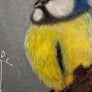 Blue Tit - Handmade Acrylic Original Painting